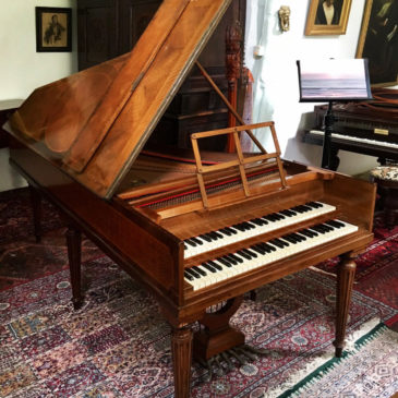 پِلیل هارپسیکورد شماره سریال ۱۳۹۰۶۴